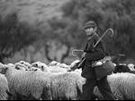 Albiste gehiago, irudia