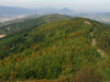 Albiste gehiago, irudia