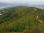 Albiste gehiago, irudia