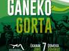 Albiste gehiago, irudia