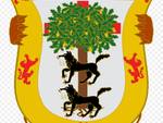 Albiste gehiago, irudia