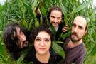ZEA MAYS.