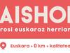 Albiste gehiago, irudia