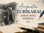 Albiste gehiago, irudia