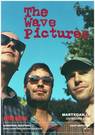 THE WAVE PICTURES